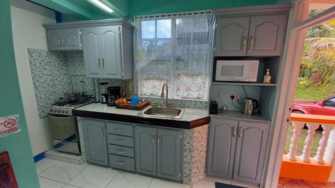 Cozy Vacation Retreat With Free Parking Roseau Exterior foto
