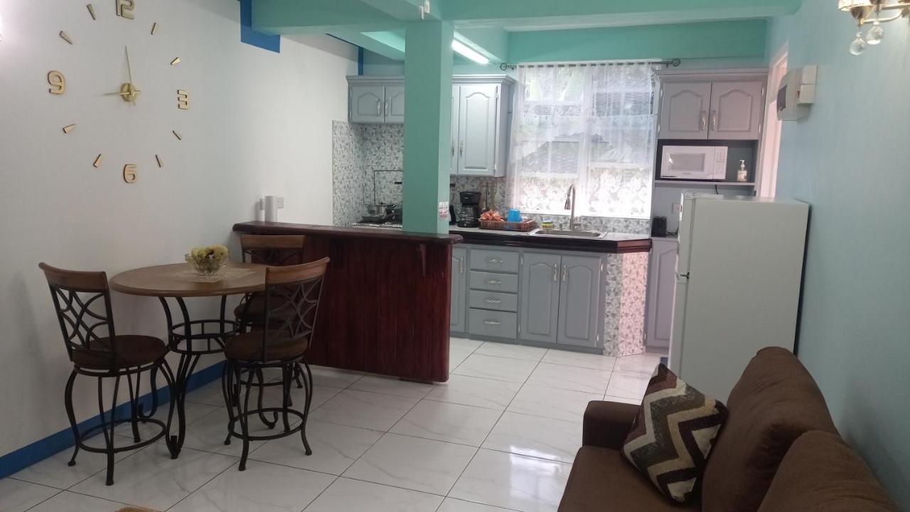 Cozy Vacation Retreat With Free Parking Roseau Exterior foto